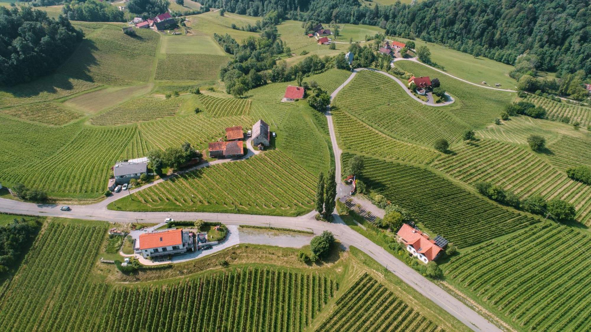 Weinstrassenapartment Fam. Dietrich Рач-ан-дер-Вайнштрассе Экстерьер фото
